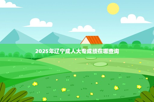 2025年辽宁成人大专成绩在哪查询