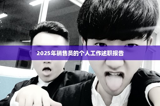 2025年销售员的个人工作述职报告