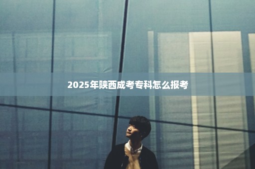 2025年陕西成考专科怎么报考