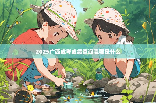 2025广西成考成绩查询流程是什么