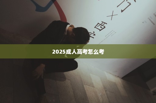 2025成人高考怎么考