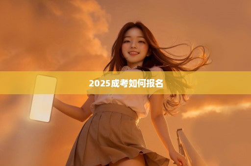 2025成考如何报名