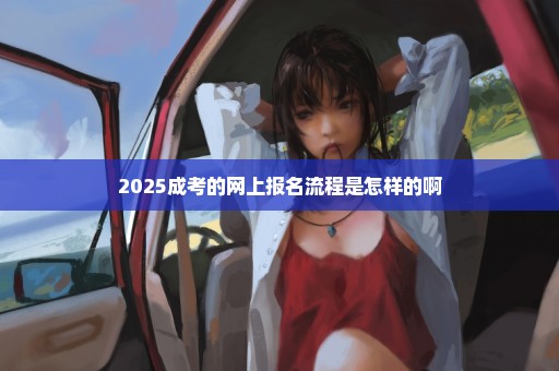 2025成考的网上报名流程是怎样的啊