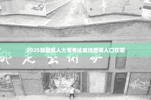 2025新疆成人大专考试成绩查询入口在哪