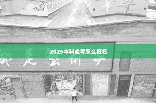 2025本科成考怎么报名