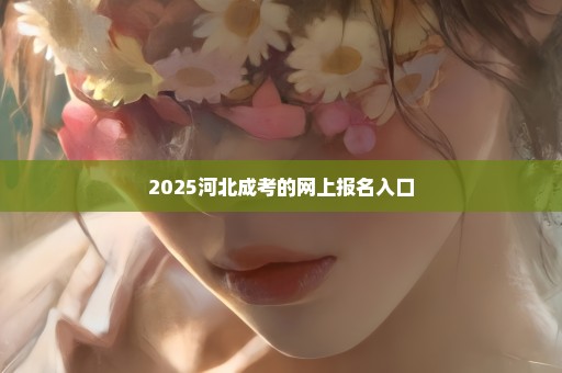 2025河北成考的网上报名入口