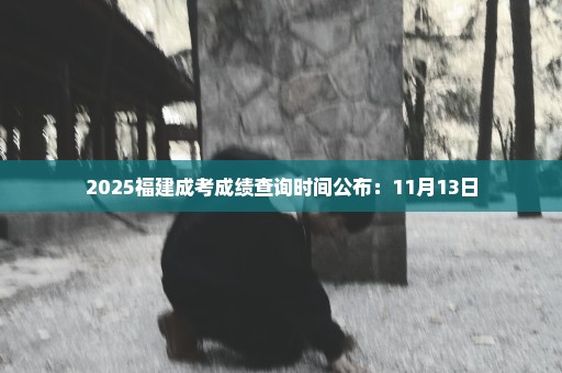 2025福建成考成绩查询时间公布：11月13日