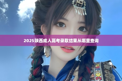 2025陕西成人高考录取结果从哪里查询