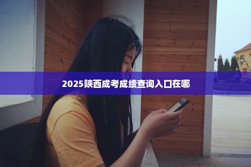 2025陕西成考成绩查询入口在哪