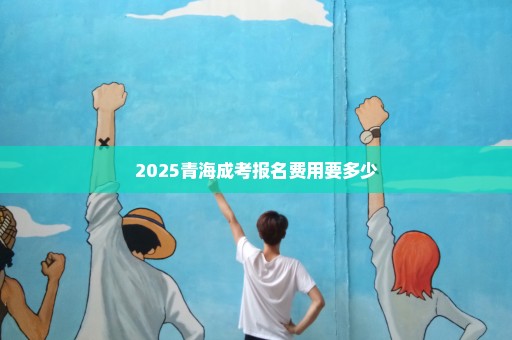 2025青海成考报名费用要多少