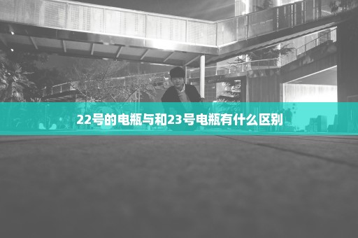 22号的电瓶与和23号电瓶有什么区别