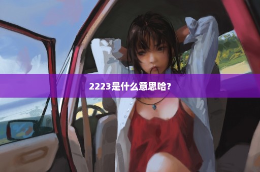 2223是什么意思哈？