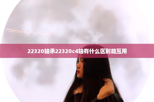 22320轴承22320c4轴有什么区别能互用