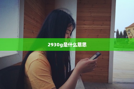 2930g是什么意思