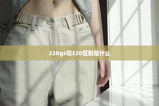 320gt和320区别是什么