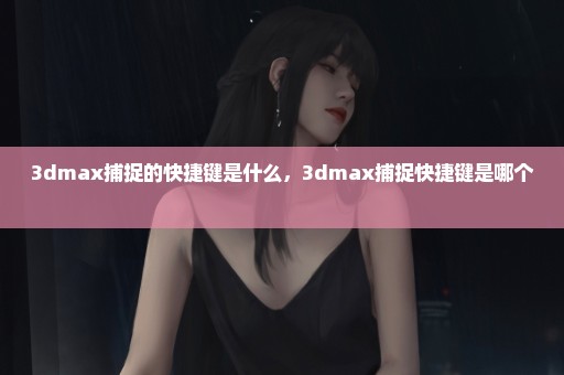 3dmax捕捉的快捷键是什么，3dmax捕捉快捷键是哪个 