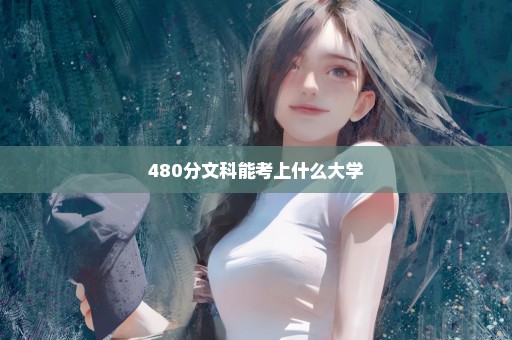 480分文科能考上什么大学