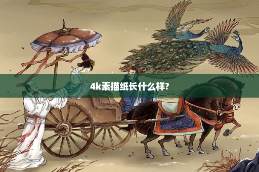 4k素描纸长什么样?