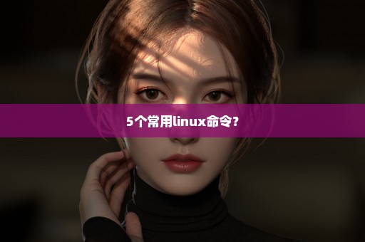 5个常用linux命令？