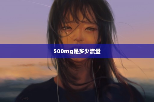 500mg是多少流量