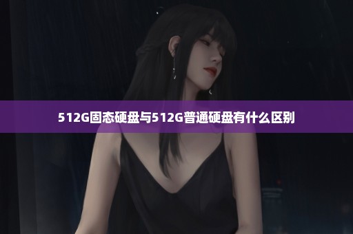 512G固态硬盘与512G普通硬盘有什么区别