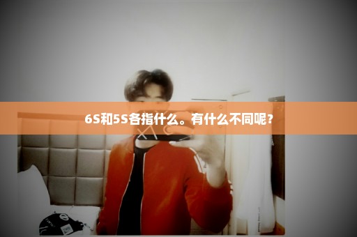 6S和5S各指什么。有什么不同呢？