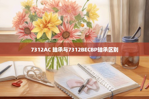 7312AC 轴承与7312BECBP轴承区别