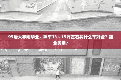 95后大学刚毕业，裸车13～15万左右买什么车好些？跑业务用？