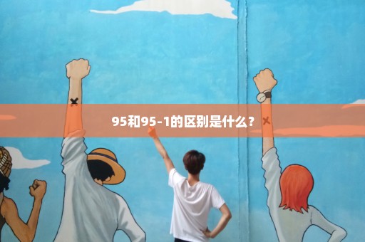 95和95-1的区别是什么？