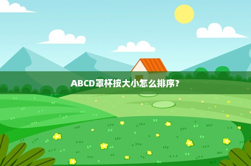 ABCD罩杯按大小怎么排序？