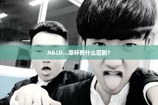 ABCD...罩杯有什么区别？