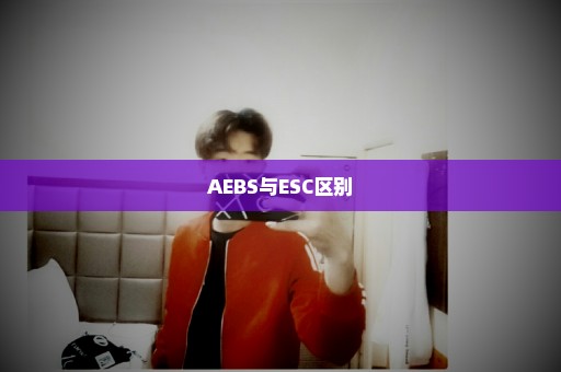 AEBS与ESC区别