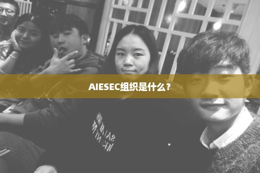 AIESEC组织是什么？