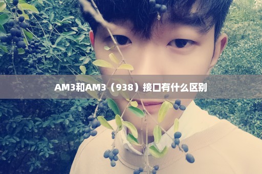 AM3和AM3（938）接口有什么区别