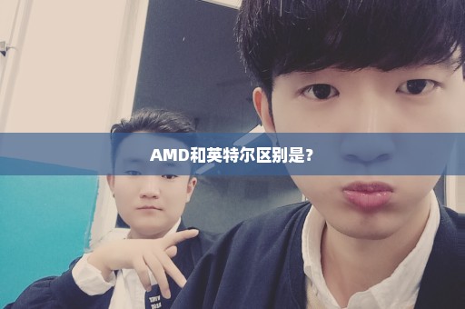 AMD和英特尔区别是？