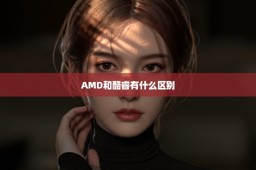 AMD和酷睿有什么区别