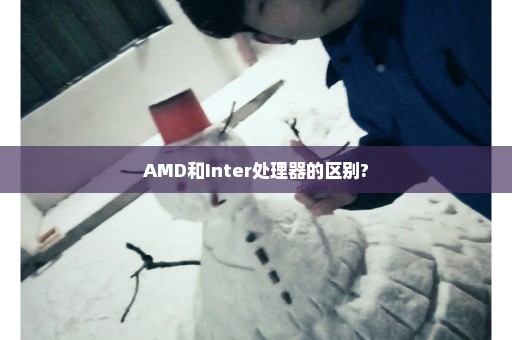 AMD和Inter处理器的区别?