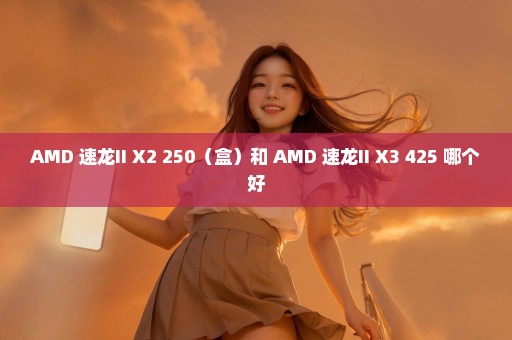 AMD 速龙II X2 250（盒）和 AMD 速龙II X3 425 哪个好