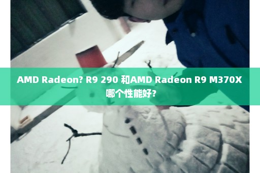 AMD Radeon? R9 290 和AMD Radeon R9 M370X 哪个性能好？