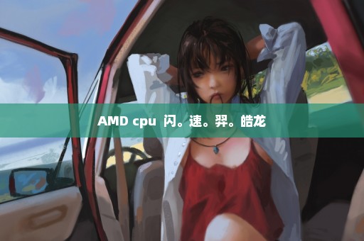 AMD cpu  闪。速。羿。皓龙