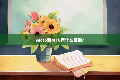 AR15和M16有什么区别?