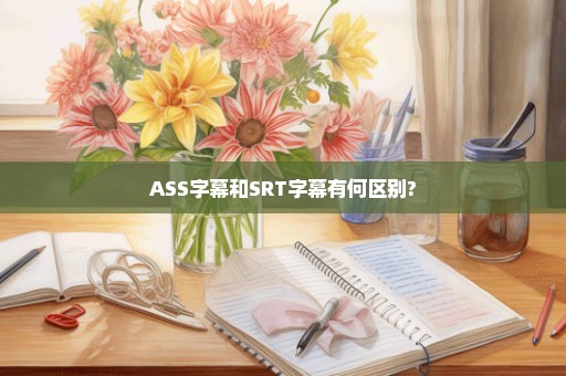 ASS字幕和SRT字幕有何区别?