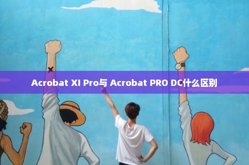 Acrobat XI Pro与 Acrobat PRO DC什么区别