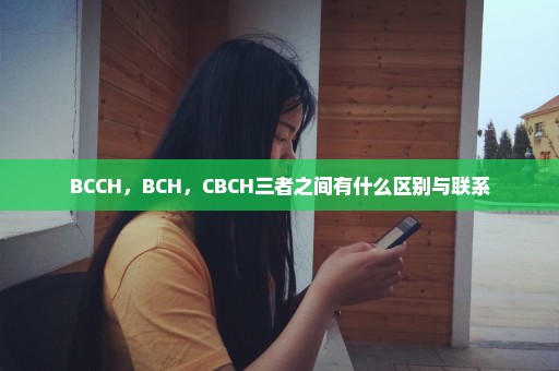 BCCH，BCH，CBCH三者之间有什么区别与联系