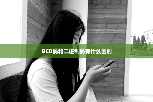 BCD码和二进制码有什么区别