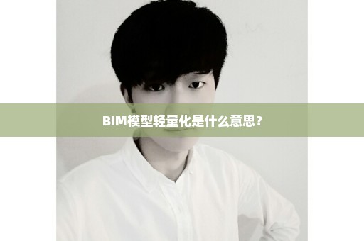 BIM模型轻量化是什么意思？