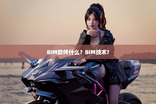 BIM软件什么？BIM技术?