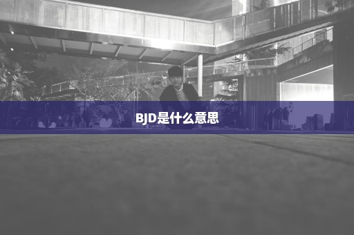 BJD是什么意思