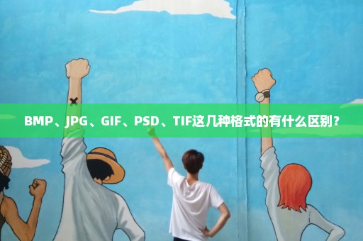 BMP、JPG、GIF、PSD、TIF这几种格式的有什么区别？