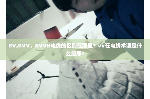 BV,BVV，BVVB电线的区别在那里？vv在电线术语是什么意思？